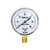 BPSSDI 0-60 Inches of Water Column Gauge, Low Pressure Gauge, Capsule Gauge, 304 Stainless Steel Case, 2.5" Dial Size, 1/4" NPT Lower Mount, Zero Adjustment, for Air Water Gas Pressure Test