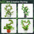 60 Inch Moss Pole, Bendable Moss Pole for Plants Monstera, Tall Moss Poles for Climbing Plants Indoor, Large Support, Garden Trellis Stick Stakes for Plants