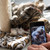 Natural Sisal Rope for Cat Scratcher and Scratching Post 1/4 Inch, 50 Feet