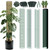 Metal Moss Poles for Climbing Plants, D-Shape Sphagnum Moss Pole Monstera Plant Support for Climbing Plants, DIY Plant Stakes Work with Sphagnum Moss (12ft D-Shaped & 28ft Round)