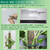 Metal Moss Poles for Climbing Plants, D-Shape Sphagnum Moss Pole Monstera Plant Support for Climbing Plants, DIY Plant Stakes Work with Sphagnum Moss (12ft D-Shaped & 28ft Round)