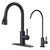 FORIOUS Pull Down Kitchen Faucet and Water Filter Faucet, Matte Black