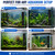 3PCS Aquarium Thermometer Strip 61-122℉(15-50°C) for Brewing Aquarium