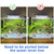 3PCS Aquarium Thermometer Strip 61-122℉(15-50°C) for Brewing Aquarium