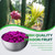 Freeze Dried Dragon Fruit, Freeze Dried Fruit, 150G/5.3OZ No Sugar Added