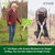 Patioer Post Hole Digger Manual 6" x 41" Garden Auger Spiral Drill with T Shaped Handle for Digging Planting Bulb Bedding