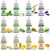 Food Flavoring Oil - 24 Pack Concentrated Flavor Oil for Baking, Cooking, Cosmetics - Liquid Lip Gloss Flavoring Oil Extract for Lip Balm, Drinks, Soap Making - Water & Oil Soluble - .2 Fl Oz Bottles