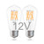 Edison 12V LED Light Bulb 80 Watt Equivalent E26 8W 800Lm 24V DC Low Voltage 12Volt Light Bulbs- Vintage ST19 Lamp - 24volt RV Marine Boat Landscape Solar Battery Lighting- 2 Pack(2700K Warm White)