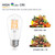 Edison 12V LED Light Bulb 80 Watt Equivalent E26 8W 800Lm 24V DC Low Voltage 12Volt Light Bulbs- Vintage ST19 Lamp - 24volt RV Marine Boat Landscape Solar Battery Lighting- 2 Pack(2700K Warm White)