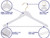 Amber Home 20 Pack White Wooden Coat Hangers with Gold Hook, Suit Hangers