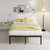 EMODA 14 Inch King Bed Frame Heavy Duty Metal Platform with Steel Slats