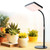 FECiDA Bonsai Grow Light, Table Grow Lights for Indoor Plants Collection