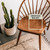 Varathane Premium Fast Dry American Walnut Wood Stain Spray