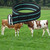 The Cow Collar is Adjustable in Size, Suitable for Managing Cattle, Horses, and Sheep with a high-Strength Polyester smart Ranch Collar. (Green)