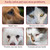 GJYC PET Natural Tear Stain Remover Balm for Dogs & Cats – Gentle & Effective Eye Care, Prevents Tear Stains & Reduces Redness, Safe & Non-Irritating Formula with Professional Brush, 1 oz