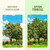 Orange Tree Fertilizer, Liquid Plant Food for More Fruit, 8 oz