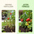 Potash Fertilizer, Liquid Potassium Supplement for More Blooms, 8 oz