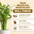 Brazilian Wood Plant Food – Liquid Fertilizer for Strong Cane Growth, 8 oz