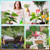Relaxweex 6 Pcs Ceramic Plant Moisture Sensor Soil Moisture Meter, 6 Inch
