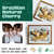 Volakk Floating Frame 16x20 Double Glass Floater Frames 20x24 Floating Picture Frame Cherry Wood 16x20 Shadow Box Frame Bouquet Frames For Wedding Memory