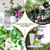14 Inch Trellis for Climbing Plants Indoor Pothos Plant Climber Support
