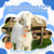 Foilswirl 12 Pack Goat Collars with Number Tag Adjustable Nylon Livestock Collar with No. 01-12 ID Number Tags Sheep Collars Set for Small Livestock Farm Animal Goat Sheep Cow(Regular)