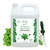 Minty Spider Repellent, Natural 5% Peppermint Oil Spray