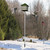 Tandefio 15 ft Telescoping Purple Martin House Pole with Ground Socket Heavy Duty 3-Section Telescoping Pole Purple Martin Bird House Heavy Duty Accessories(1 Pcs)