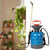 High Reach Plant Waterer Pump Pressure Sprayer for Indoor Hanging Plants