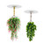 Heavy Duty Adhesive Ceiling Hooks,No Damage,Sticky Hooks for Hanging Plants,Lights,Decorations,Ceiling Tiles,No Drill,Utility Hook (2)