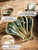 Gomakren Asian Soup Spoons Set of 6, 6.5in Ceramic Ramen Spoons, Blue-Green