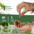 Rhodiola Rosea Organic Supplement, Herbal Blend for Stress Relief & Focus