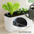 2 Packs 16 Inch Large Rectangular Self Watering Pots for Indoor Plants Window Planter Box Rectangle Planters Plastic Plant Pots Flower Box Windowsill Planter Long Planters for Herb& Vegetable, White