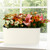 2 Packs 16 Inch Large Rectangular Self Watering Pots for Indoor Plants Window Planter Box Rectangle Planters Plastic Plant Pots Flower Box Windowsill Planter Long Planters for Herb& Vegetable, White