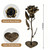 Bronze Rose Copper Flower Sculpture – 8th for Her/Him Hand-Forged Metal Eternal Rose Unique Wedding Keepsake Romantic Home Decor Gift for Wife Husband