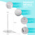 Acrylic Paper Towel Holder Premium Thickened Crystal Clear Modern Design with 0.6" Ultra-Stable Weighted Base, Sleek Vertical Countertop Organizer for Kitchen, Bathroom & Vanity (WH129)