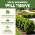 Boxwood Fertilizer – Liquid Plant Food for Dense, Green Growth, 1 Gallon