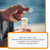 Glucochews Orange Glucose Tablets – 60 Tablets (10 per Tube, 6 Pocket-Sized Tubes) – 3.8g Fast-Acting Glucose Each – Boosts Energy & Blood Sugar – Gluten-Free, Fat-Free, Caffeine-Free
