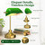 MOKOQI Cordless Bankers Lamp | Green Bankers Desk Lamp Rechargeable