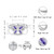 925 Sterling Silver Butterfly Cremation Ring for Ashes Memorial Urn Rings Keepsake Jewelry for Ashes Sympathy Gift for Women