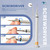 Rimless Glasses Repair Tool Kit - Comes with a Plier, Two Pairs of Rubber Jaws, and Mounting Sleeves in 3 Sizes (1.4/1.5/1.6) - Suitable for Maintenance and Repair of Frameless Glasses