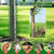 Tree Trunk Protector 48 Inch Tall, 6 Pcs Metal Mesh Tree Guards with Glove, Stakes and Zip Ties Bark Guard Protector for Saplings Plants from Deer, Animal, Trimmers, Mowers