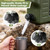 3.2 Gallon Water Jug, Portable Camping Water Jug Dispenser with Spigot, Leak-Proof Water Storage Containers for Camping, Outdoor, Hiking, Picnic, RV, BPA Free Emergency Water Tank, Green