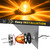2Pcs Amber Glass Lens Watermelon Lights, Amber LED Side Marker Turn Signal Lights with Stainless Steel Bezel, 12V Starburst Clearance Marker Lights for Peterbilt Kenworth Freightliner Semi Trucks