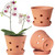6 Inch Terracotta Orchid Pots with Holes, Saucers - 3 Pack Clay Orchid Planter Pots for Repotting, Small Terra Cotta Pot, Indoor & Outdoor, Promotes Air Circulation