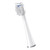 Waterpik Full Size Sonic-Fusion Replacement Brush Heads, 2 Count White