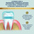 LIVFRESH Toothpaste Gel, Clinically Proven to Remove Plaque 250% Better, Does Not Irritate Gums, Reduces Tartar Buildup, Freshens Breath, SLS Free Dental Gel, Wintergreen, 3 Pack