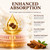 Metabolae Ceylon Cinnamon, 12:1 Concentrated Cinnamon Extract Softgels, 1pcs