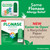 Flonase Nasal Spray for Allergy Relief, Tissues Included, 144 Sprays