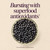 Nature's Way Sambucus Elderberry Gummies for Immune Support* Ages 4+, 60 ct